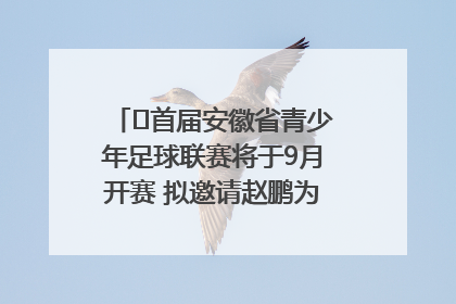 ﻿首届安徽省青少年足球联赛将于9月开赛 拟邀请赵鹏为先导赛开球