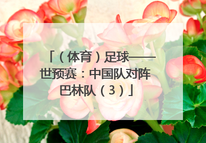（体育）足球——世预赛：中国队对阵巴林队（3）