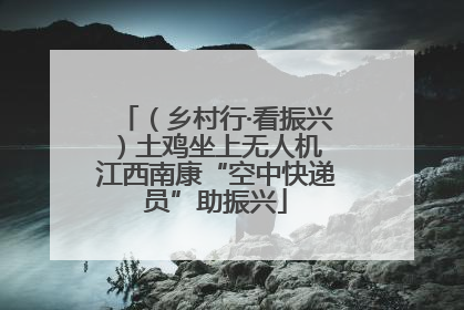 （乡村行·看振兴）土鸡坐上无人机 江西南康“空中快递员”助振兴