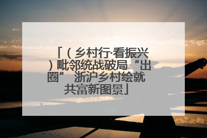（乡村行·看振兴）毗邻统战破局“出圈” 浙沪乡村绘就共富新图景