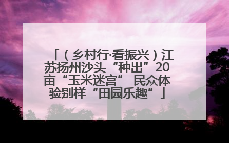 （乡村行·看振兴）江苏扬州沙头“种出”20亩“玉米迷宫” 民众体验别样“田园乐趣”