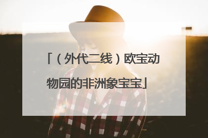 （外代二线）欧宝动物园的非洲象宝宝