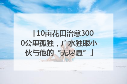 10亩花田治愈3000公里孤独，广水独眼小伙与他的“无尽夏”