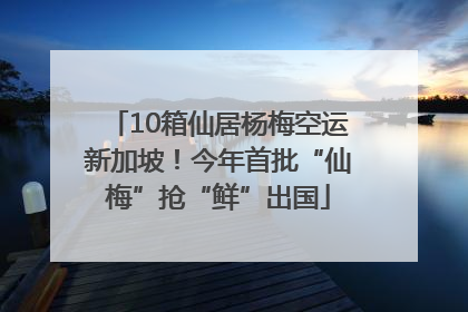 10箱仙居杨梅空运新加坡！今年首批“仙梅”抢“鲜”出国