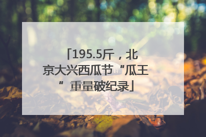 195.5斤，北京大兴西瓜节“瓜王”重量破纪录