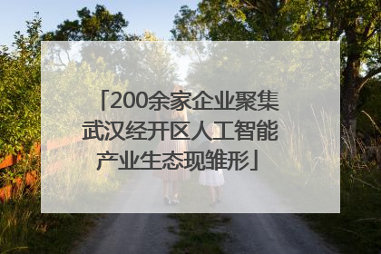 200余家企业聚集 武汉经开区人工智能产业生态现雏形