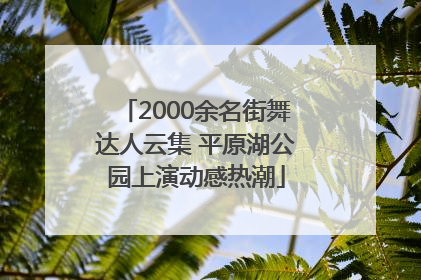 2000余名街舞达人云集 平原湖公园上演动感热潮