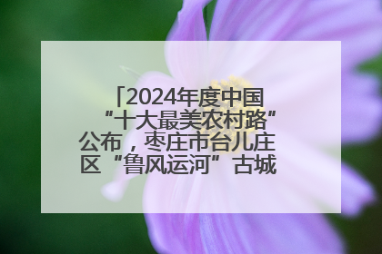 2024年度中国“十大最美农村路”公布，枣庄市台儿庄区“鲁风运河”古城文化廊道上榜！
