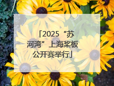 2025“苏河湾”上海桨板公开赛举行