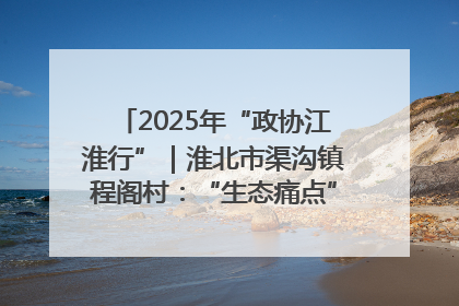 2025年“政协江淮行”｜淮北市渠沟镇程阁村：“生态痛点”变“生态景观”