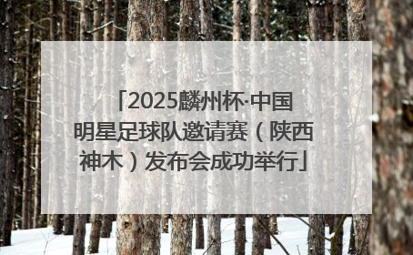 2025麟州杯·中国明星足球队邀请赛（陕西神木）发布会成功举行