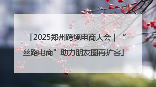 2025郑州跨境电商大会｜“丝路电商”助力朋友圈再扩容