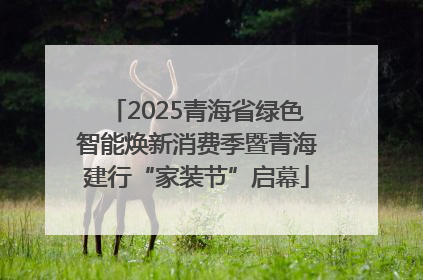 2025青海省绿色智能焕新消费季暨青海建行“家装节”启幕