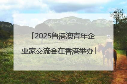 2025鲁港澳青年企业家交流会在香港举办