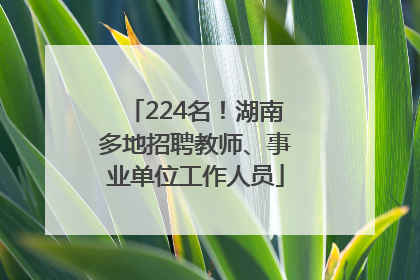 224名！湖南多地招聘教师、事业单位工作人员