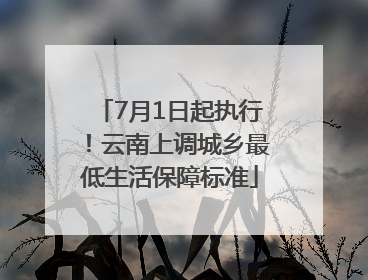 7月1日起执行！云南上调城乡最低生活保障标准