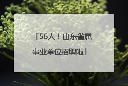 56人！山东省属事业单位招聘啦