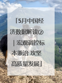 5月中国经济数据解读②｜宏观调控标本兼治 攻坚高质量发展