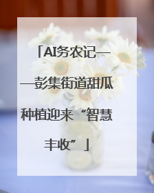 AI务农记——彭集街道甜瓜种植迎来“智慧丰收”
