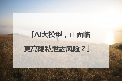 AI大模型，正面临更高隐私泄露风险？