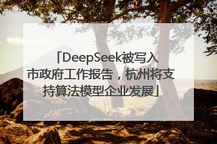 DeepSeek被写入市政府工作报告，杭州将支持算法模型企业发展