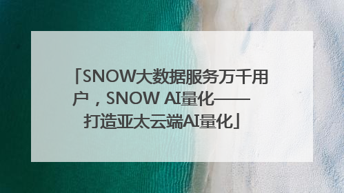 SNOW大数据服务万千用户，SNOW AI量化——打造亚太云端AI量化