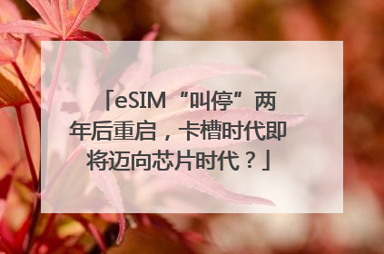 eSIM“叫停”两年后重启，卡槽时代即将迈向芯片时代？